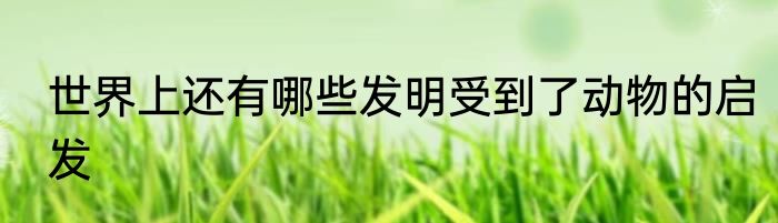 世界上还有哪些发明受到了动物的启发