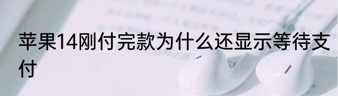 苹果14刚付完款为什么还显示等待支付