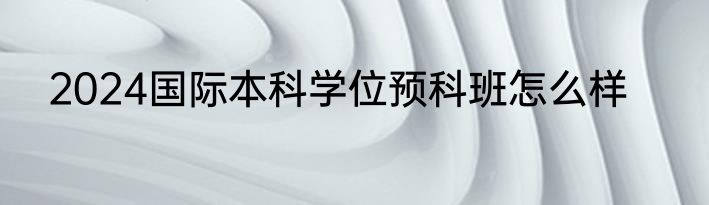 2024国际本科学位预科班怎么样