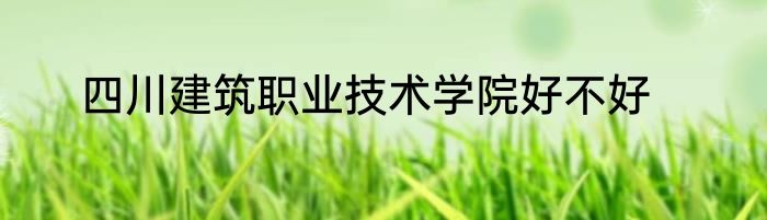 四川建筑职业技术学院好不好