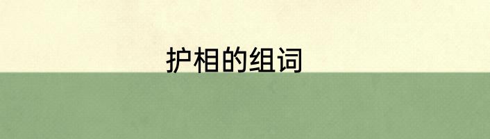 护相的组词