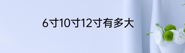6寸10寸12寸有多大