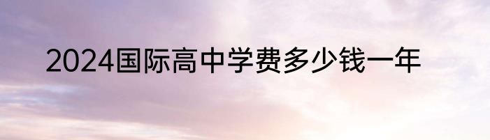 2024国际高中学费多少钱一年