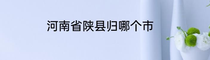 河南省陕县归哪个市