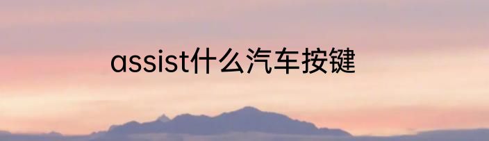 assist什么汽车按键