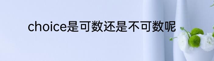 choice是可数还是不可数呢
