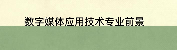 数字媒体应用技术专业前景