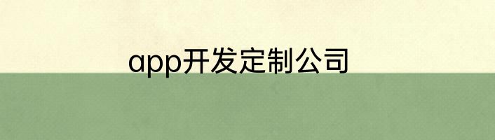 app开发定制公司