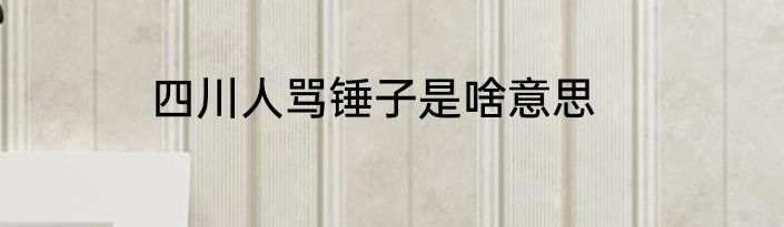 四川人骂锤子是啥意思
