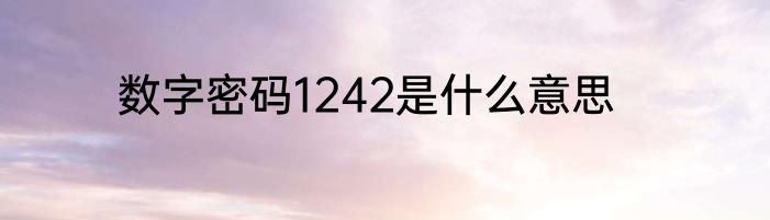 数字密码1242是什么意思