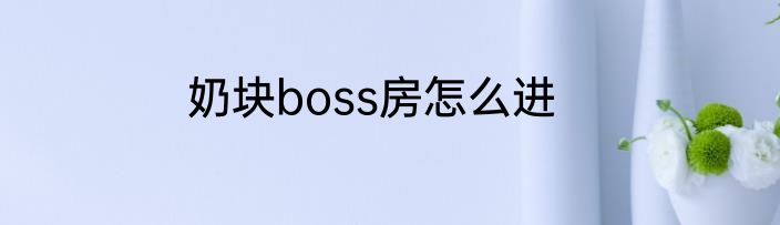 奶块boss房怎么进