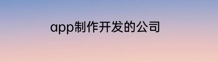 app制作开发的公司