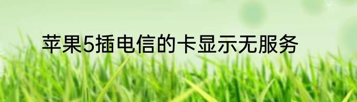 苹果5插电信的卡显示无服务