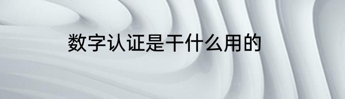 数字认证是干什么用的