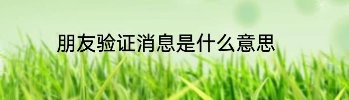 朋友验证消息是什么意思