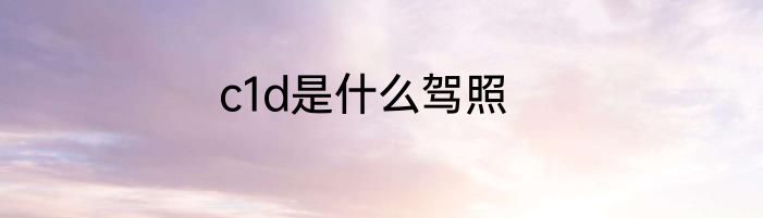 c1d是什么驾照