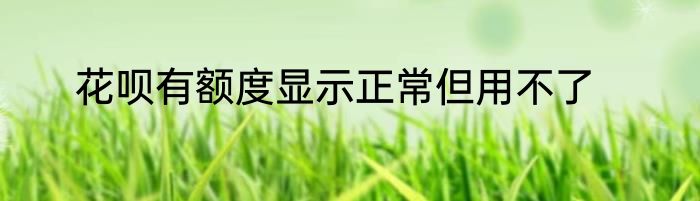 花呗有额度显示正常但用不了