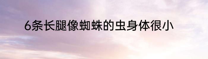 6条长腿像蜘蛛的虫身体很小
