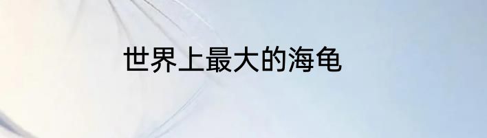 世界上最大的海龟