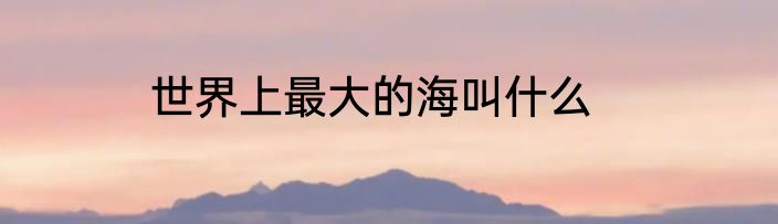世界上最大的海叫什么