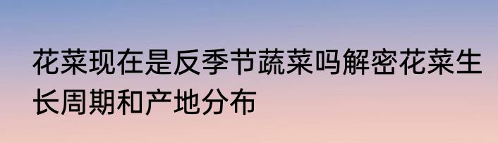 花菜现在是反季节蔬菜吗解密花菜生长周期和产地分布
