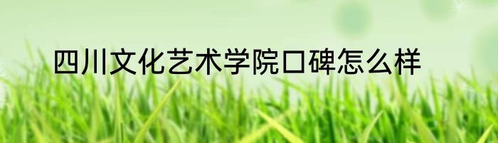 四川文化艺术学院口碑怎么样