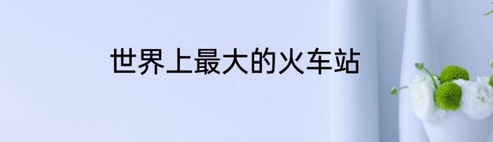 世界上最大的火车站