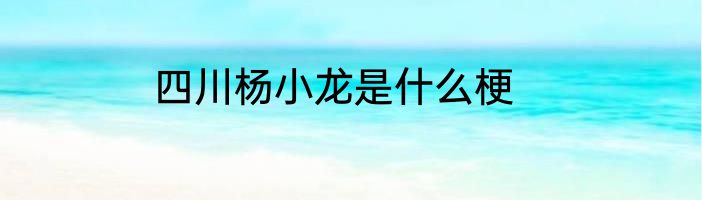 四川杨小龙是什么梗