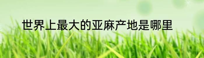 世界上最大的亚麻产地是哪里