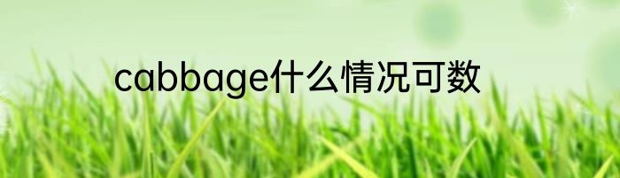 cabbage什么情况可数