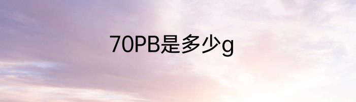 70PB是多少g