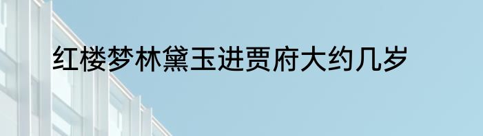 红楼梦林黛玉进贾府大约几岁