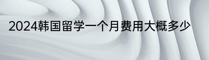 2024韩国留学一个月费用大概多少
