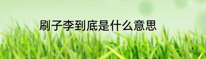 刷子李到底是什么意思