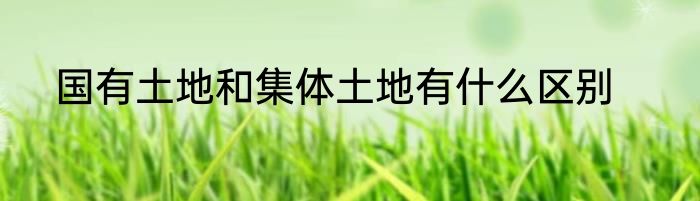 国有土地和集体土地有什么区别