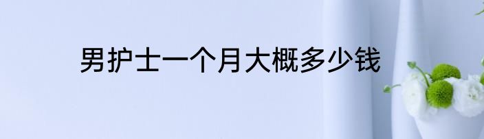 男护士一个月大概多少钱