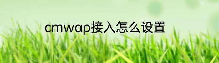 cmwap接入怎么设置