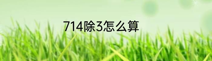 714除3怎么算