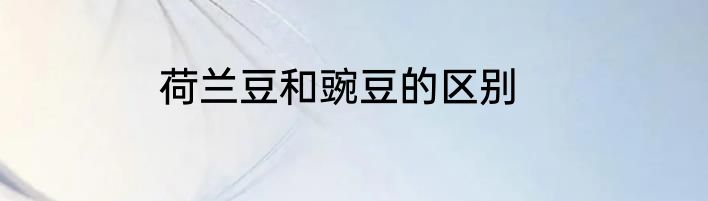 荷兰豆和豌豆的区别