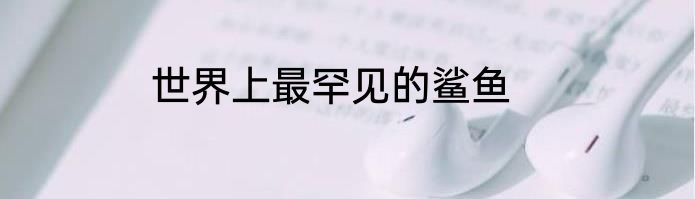 世界上最罕见的鲨鱼