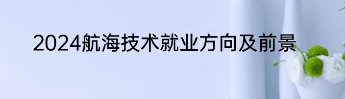 2024航海技术就业方向及前景