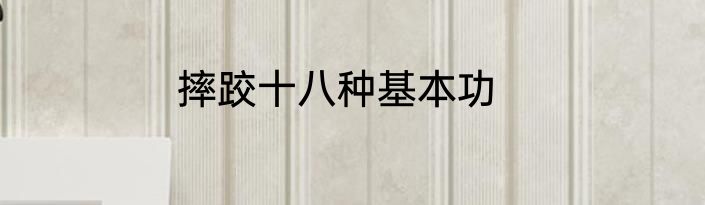 摔跤十八种基本功
