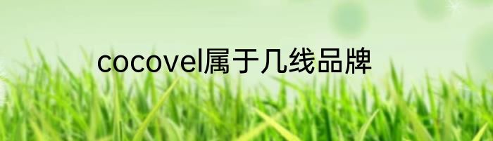 cocovel属于几线品牌