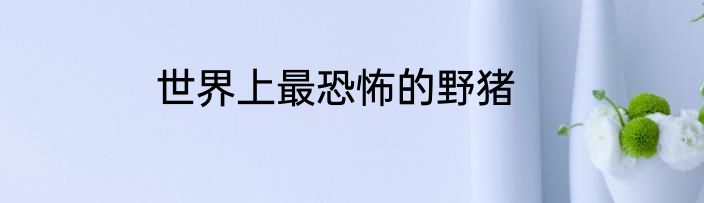 世界上最恐怖的野猪