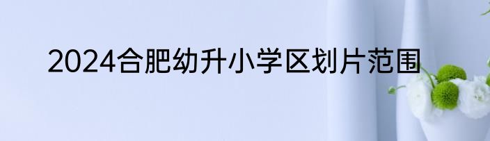 2024合肥幼升小学区划片范围