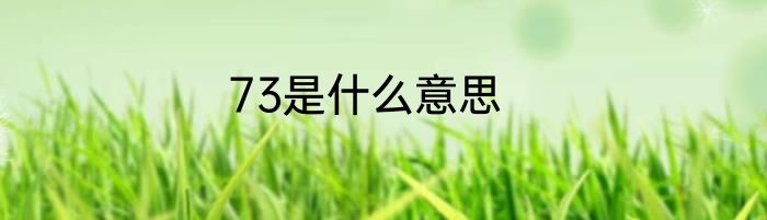 73是什么意思