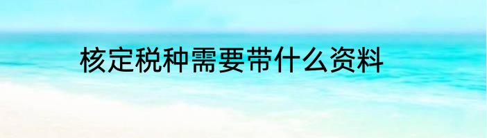 核定税种需要带什么资料