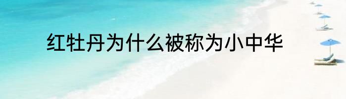红牡丹为什么被称为小中华