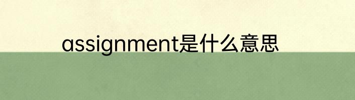 assignment是什么意思
