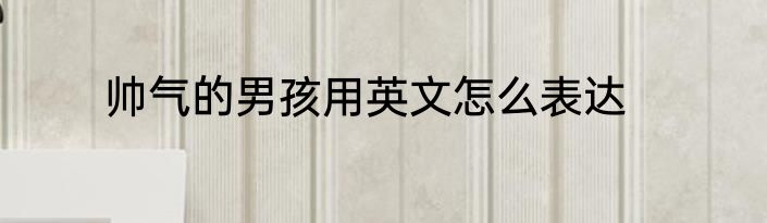 帅气的男孩用英文怎么表达
